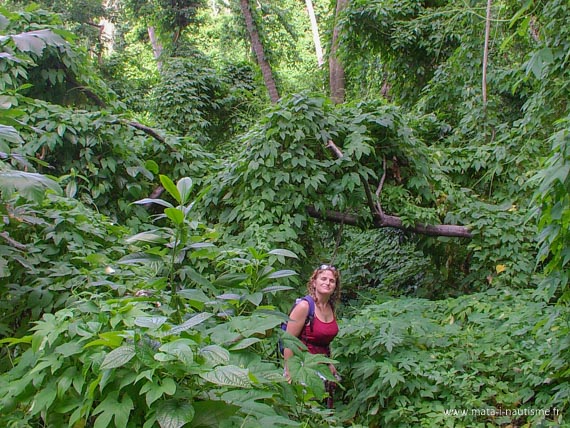 Isabelle en Martinique