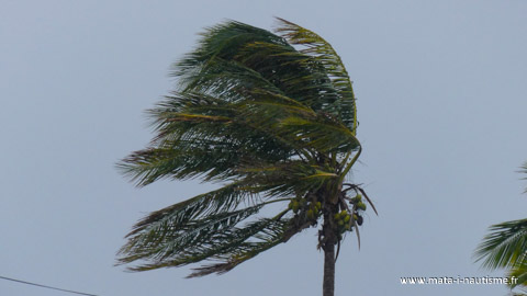 Cyclone OMA le retour