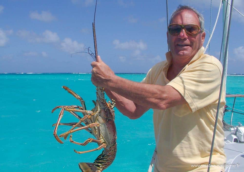 Langouste des Tobago Cays