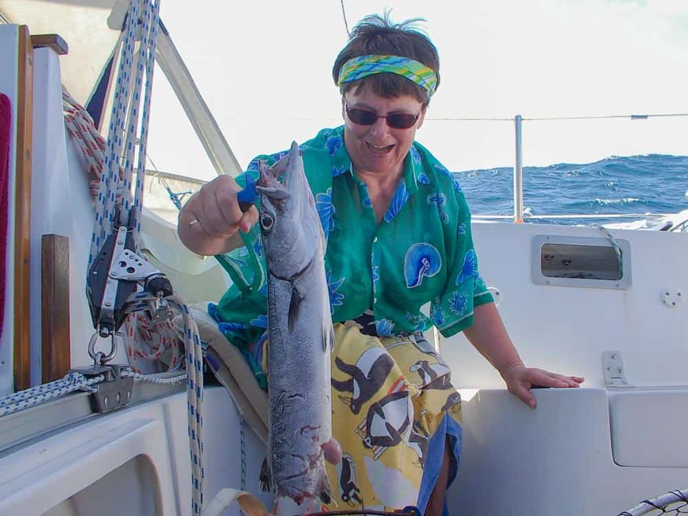 Moitié de barracuda