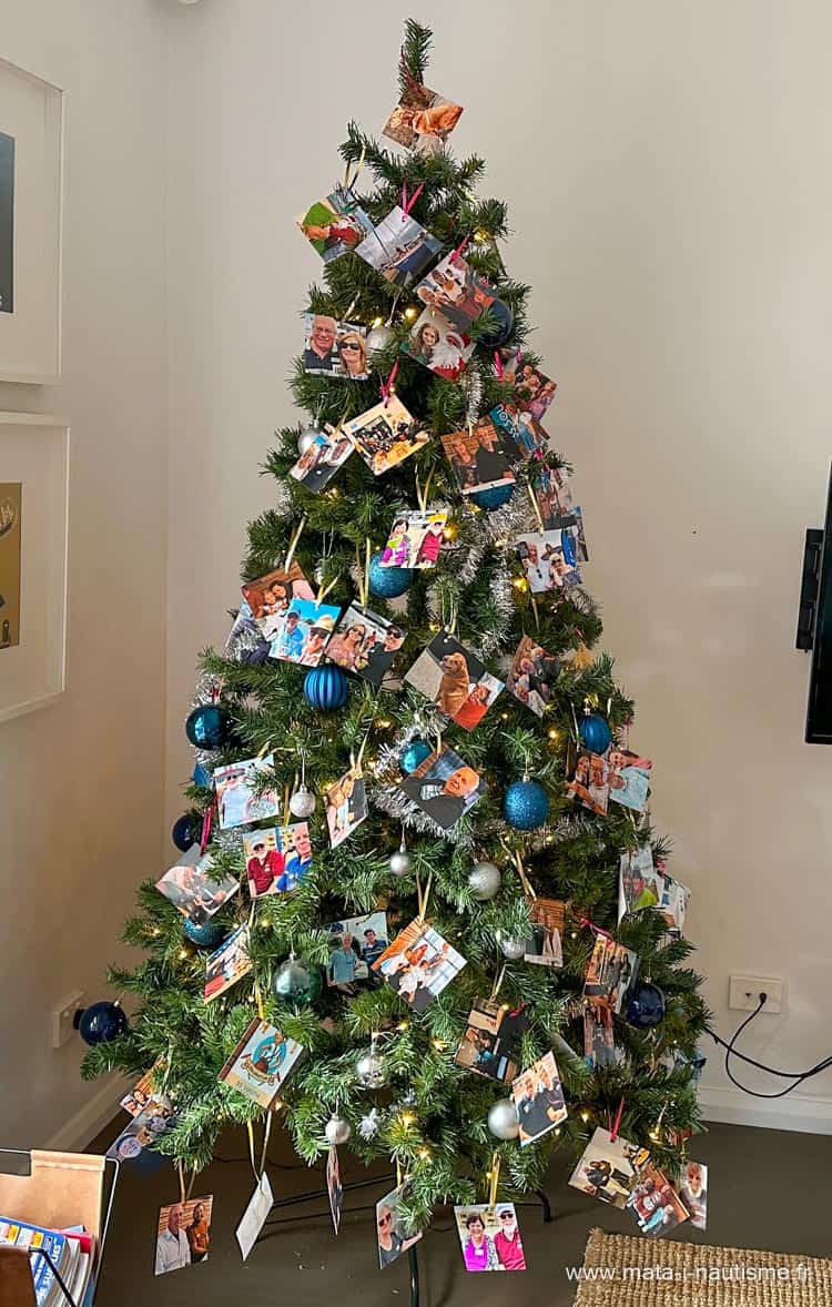 Notre sapin commun