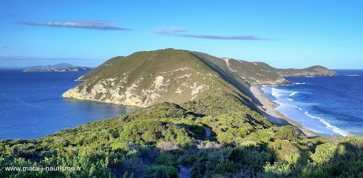 Bald head track