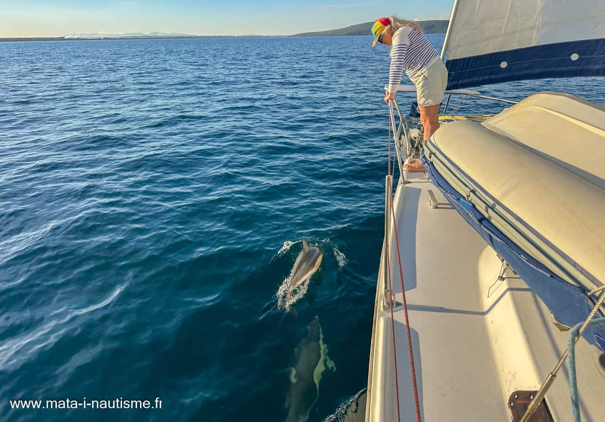 Navigation avec les dauphins Albany