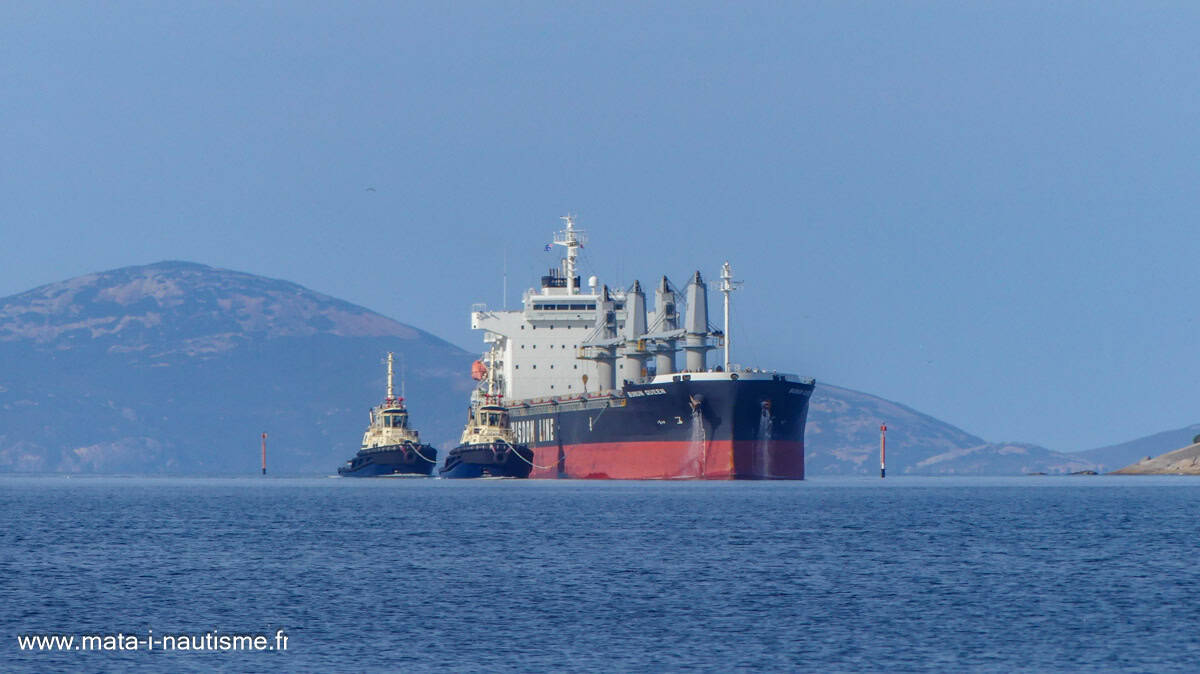 Navire vraquier - Port Albany